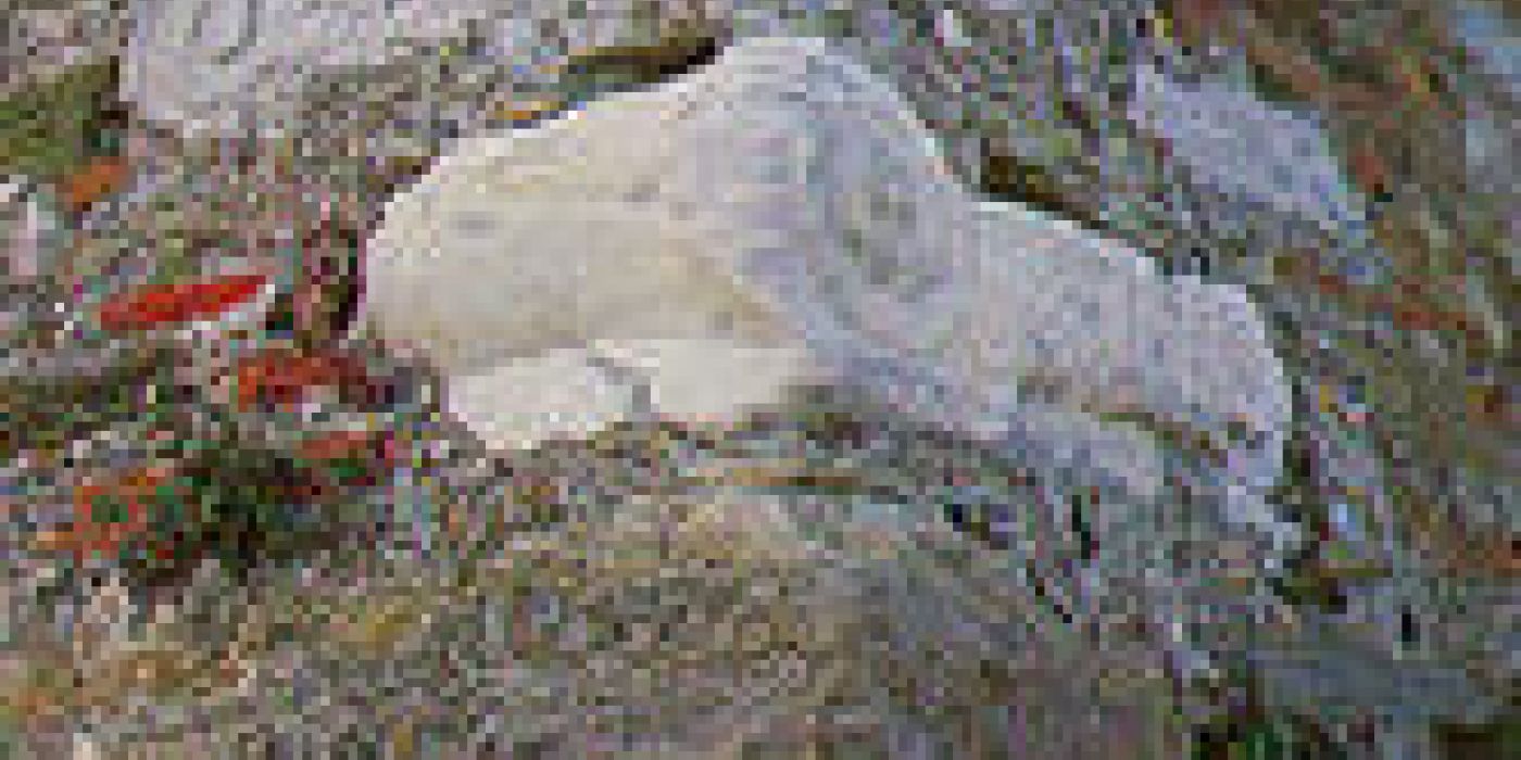 Με παγκόσμια πατέντα μετρούν τα μεσαιωνικά τείχη